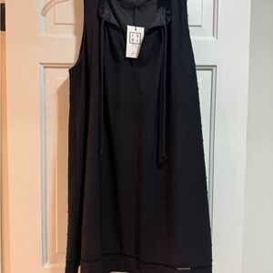 THML black lined dress